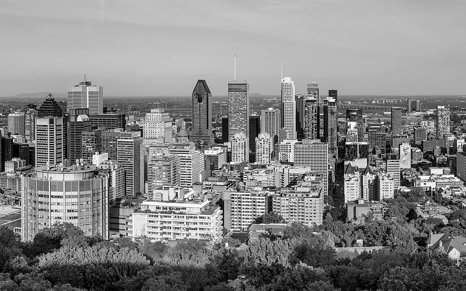 Panorama en noir et blanc du centre-ville de Montréal depuis le mont Royal